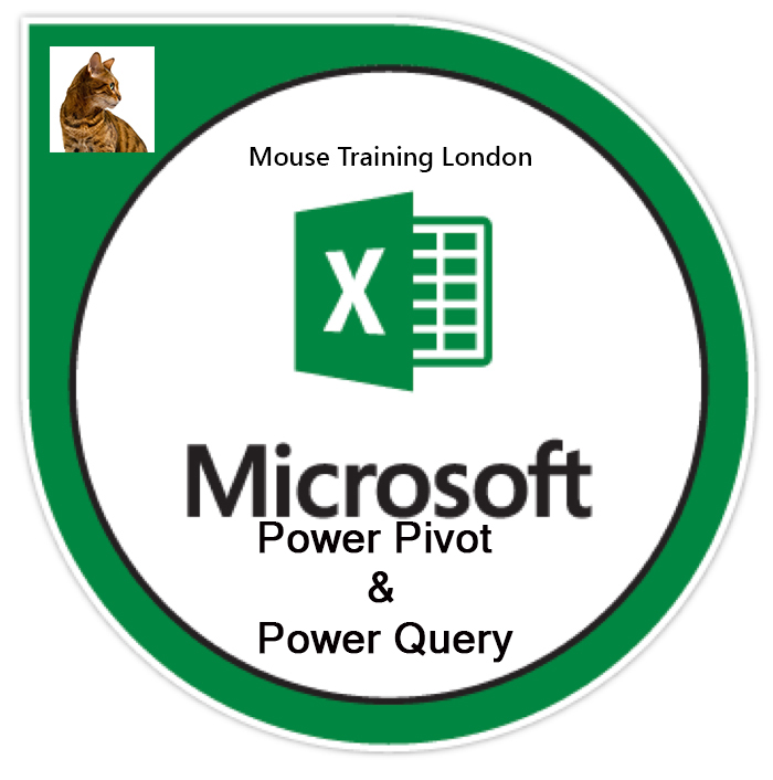 excel-power-pivot-power-view-mouse-training-london-ltd